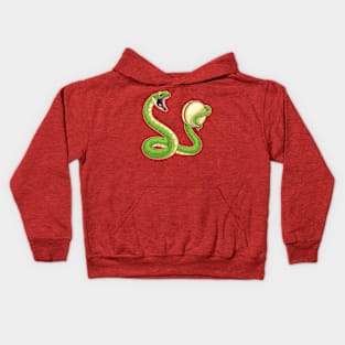 Snake Musician Tambourine Music Kids Hoodie